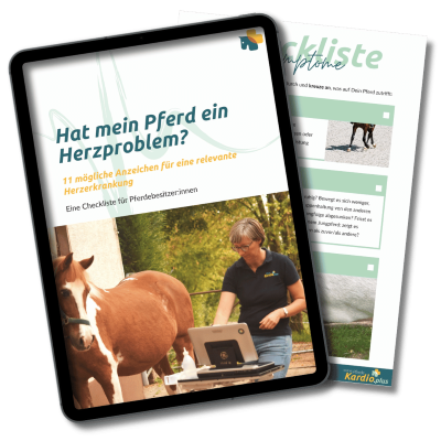 Auszug Checkliste Herz